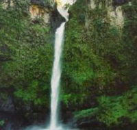 Nandroya Falls Circuit Track Wooroonooran National Park - Cruises Travel
