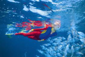  Cruises Travel