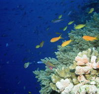 The Three Sisters Dive Site - Cruises Travel