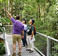 Daintree Discovery Centre - Tourism Guide