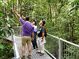 Daintree Discovery Centre - Cruises Travel 0