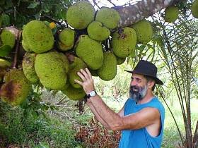 Cape Trib Exotic Fruit Farm - Tourism Guide 0