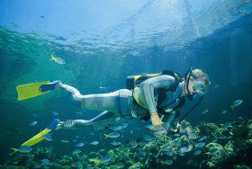Tijou Reef - Tourism Guide 0