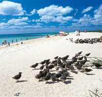 Michaelmas and Upolo Cays National Park - Cruises Travel