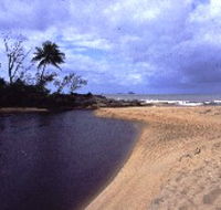 Russell River National Park - Tourism Guide