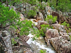 Crows Nest National Park - Cruises Travel 0