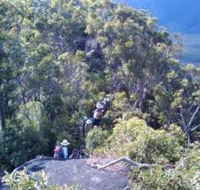 Mia Mia State Forest - Tourism Guide