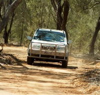 Ward River 4x4 Stock Route Trail - Tourism Guide