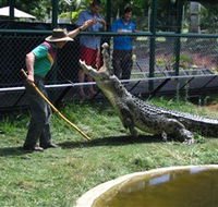 Snakes Downunder Reptile Park and Zoo - Tourism Guide
