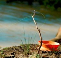 Charleville - Mangalore Warrego River Fishing Spot - Tourism Guide