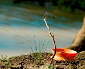Charleville - Mangalore Warrego River Fishing Spot - Tourism Guide 0