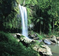Curtis Falls Joalah Section - Tourism Guide