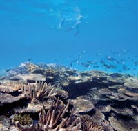 Australian Institute of Marine Science - Tourism Guide