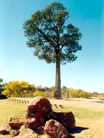 Cunnamulla QLD Tourism Guide