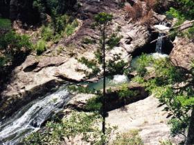 Banksia Track And The Boardwalk - Travel Agents 0