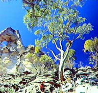 Mount Moffatt Section - Carnarvon National Park - Travel Search