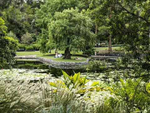 Brisbane Botanic Gardens Mount Coot-tha - Travel Search 1