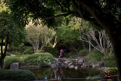 Brisbane Botanic Gardens Mount Coot-tha - Travel Search 2