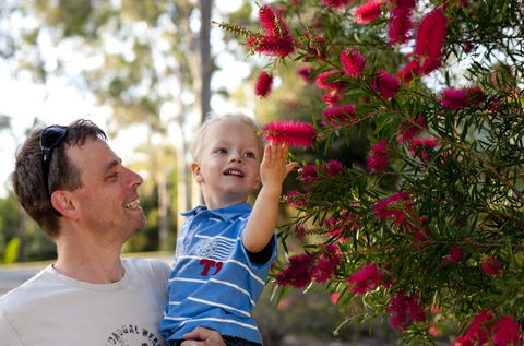 Brisbane Botanic Gardens Mount Coot-tha - Travel Search 4