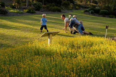 Brisbane Botanic Gardens Mount Coot-tha - Travel Search 5