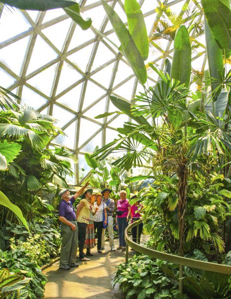 Brisbane Botanic Gardens Mount Coot-tha - Travel Search 10