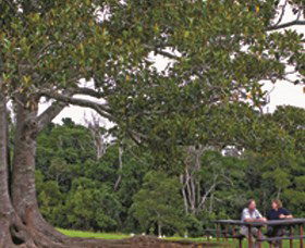 St Aubyn QLD Tourism Guide