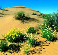 Simpson Desert National Park - Tourism Guide