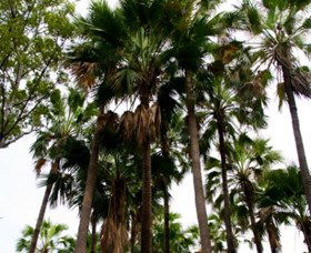 Palm Tree Creek - Travel Agents 0