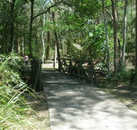 Cornubia Forest Park - Cruises Travel