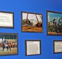 Town Hall Photographic Display - Tourism Guide