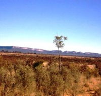 Tambos Wilderness Way - Tourism Guide