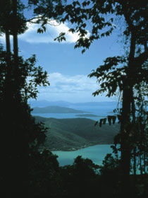 Whitsunday Great Walk - Tourism Guide 0