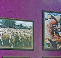 Charleville Photographic Display - Tourism Guide