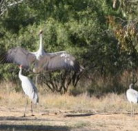 Bulloo River Walk - Tourism Guide