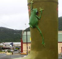 Golden Gumboot - Tourism Guide