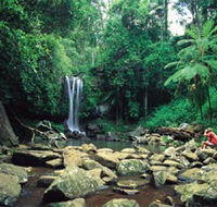 Tamborine National Park - Tourism Guide