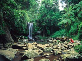 Tamborine National Park - Tourism Guide 0