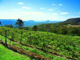 Preston Peak Wines - Tourism Guide 0