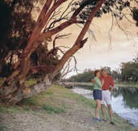 The Looking Glass - Tourism Guide