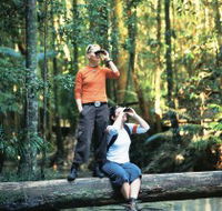 Birdwatching on the Fraser Coast - Cruises Travel