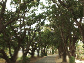Eimeo QLD Tourism Guide