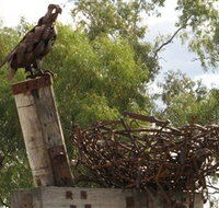 Blackall Sculpture Trail - Tourism Guide
