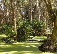 Arkarra Lagoons and Tea Gardens - Cruises Travel