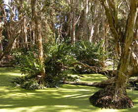 Arkarra Lagoons And Tea Gardens - Tourism Guide 0