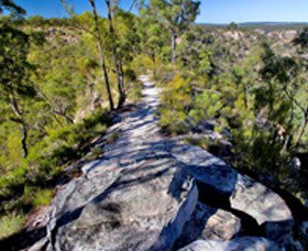 Theodore QLD Tourism Guide