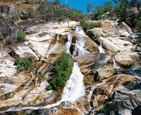 Emerald Creek, Dinden West Forest Reserve - Cruises Travel 0