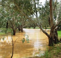 Saddliers Waterhole and Hamburg Creek - Tourism Guide