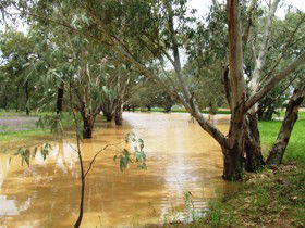 Saddliers Waterhole And Hamburg Creek - Travel Agents 0
