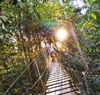 Tree Top Walkway - Tourism Guide
