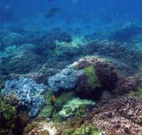 Hoffman's Rocks Dive Site - Tourism Guide